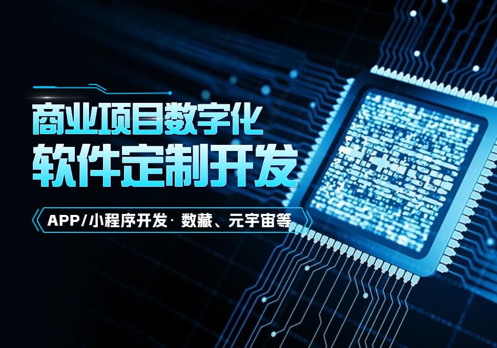 软件定制开发公司